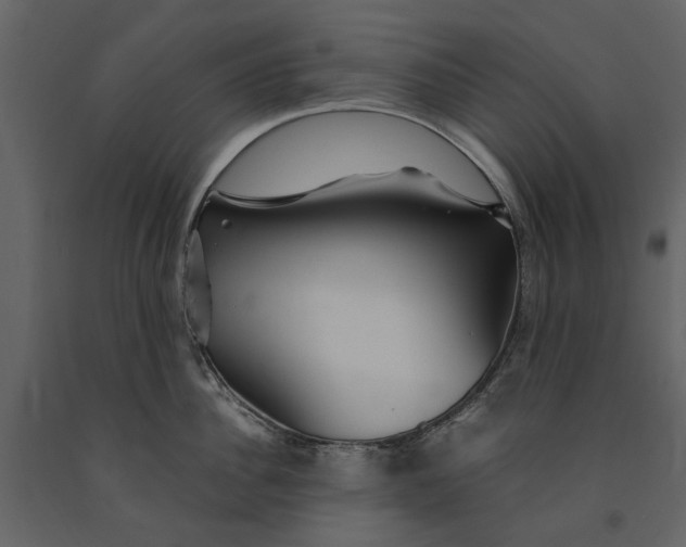 X0000091080956200708271233