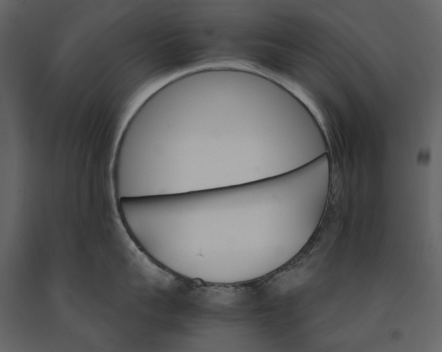 X0000091080959200708271233