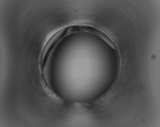 X0000091080960200708271233