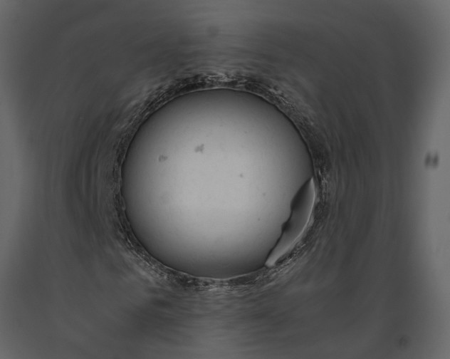 X0000091080961200708271233