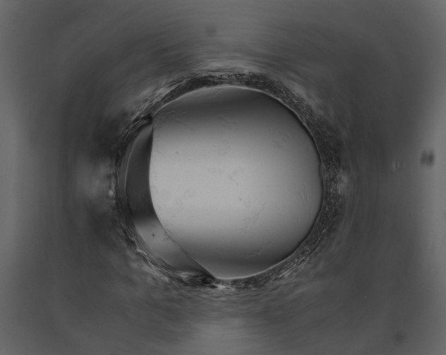 X0000091080965200708271233