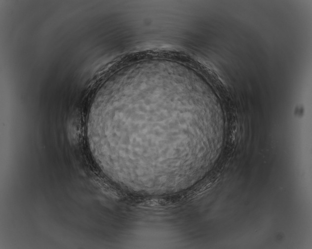 X0000091080966200708271233