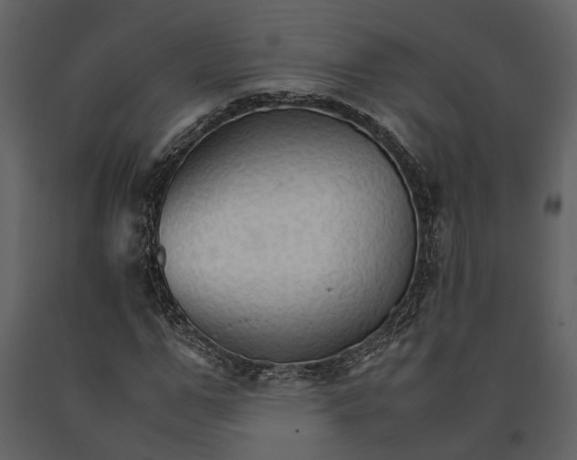 X0000091080967200708271233