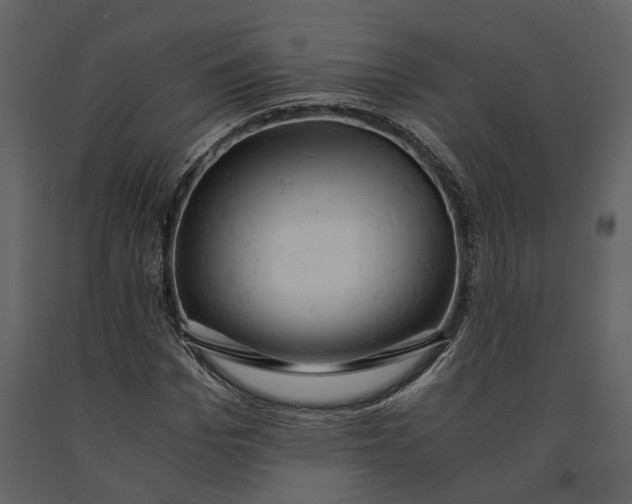 X0000091080969200708271233