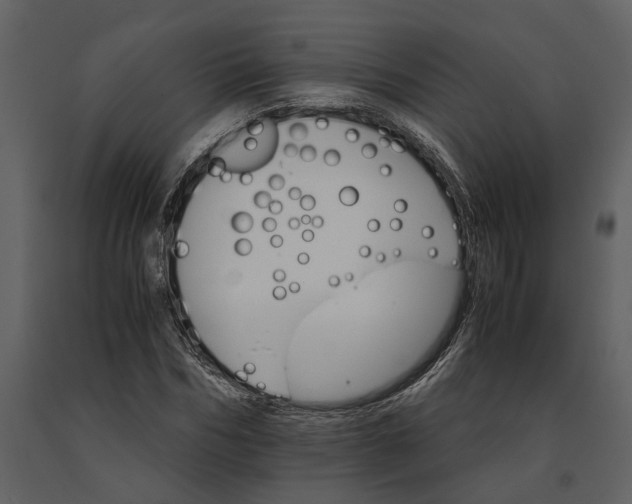 X0000091080970200708271233