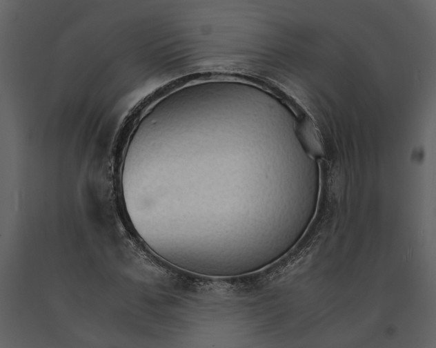 X0000091080971200708271233