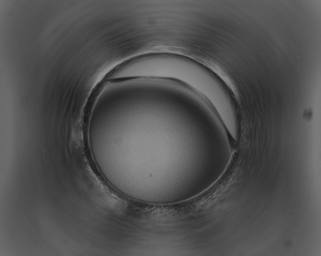 X0000091080972200708271233