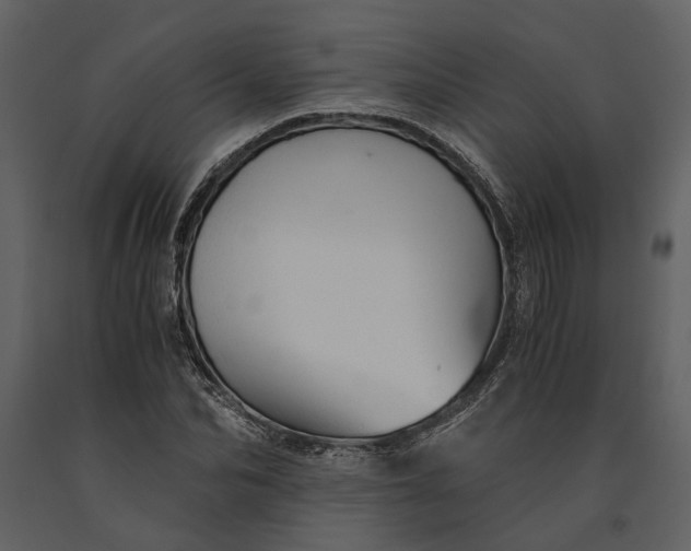 X0000091080974200708271233