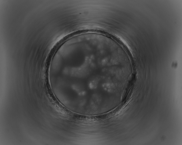 X0000091080975200708271233