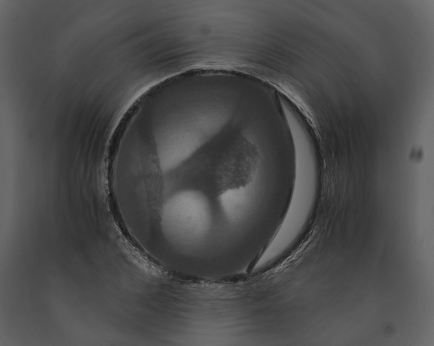 X0000091080976200708271233