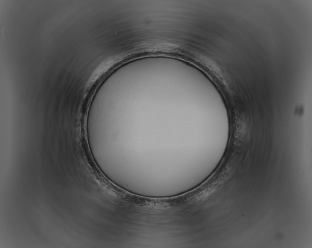 X0000091080978200708271233