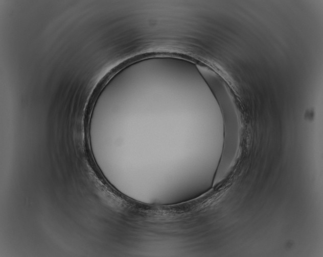 X0000091080980200708271233