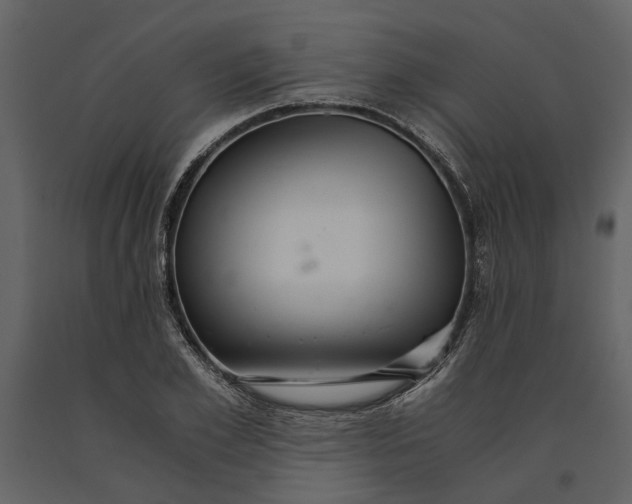 X0000091080981200708271233