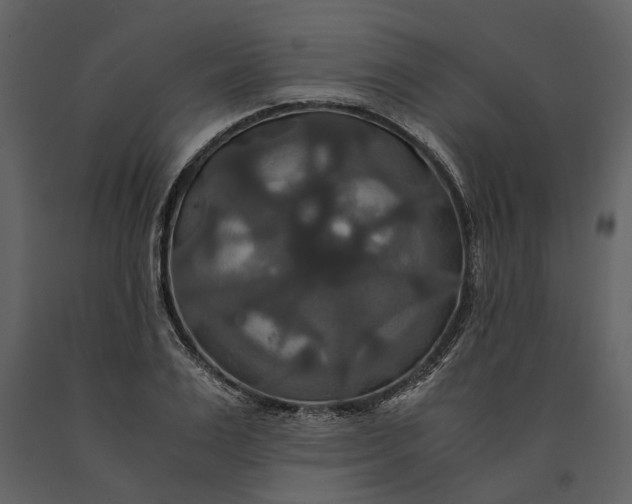 X0000091080983200708271233