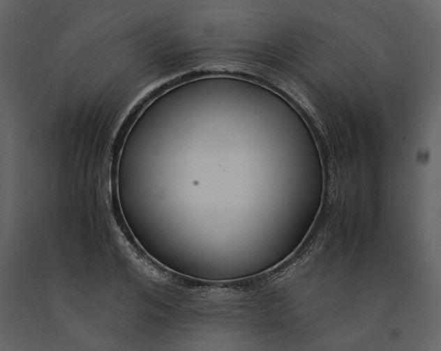 X0000091080984200708271233