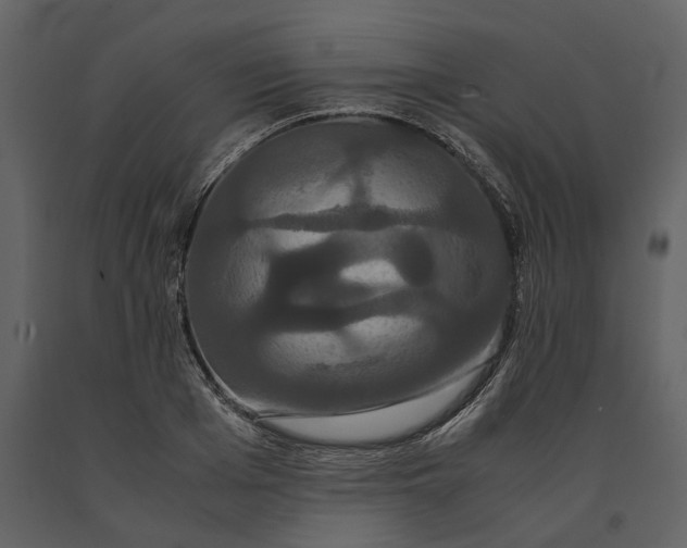 X0000091080985200708271233