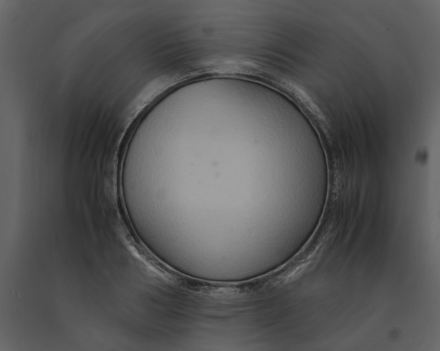 X0000091080986200708271233