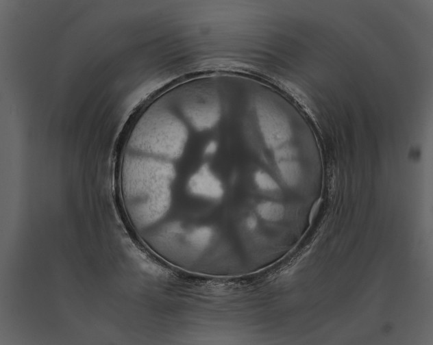 X0000091080987200708271233