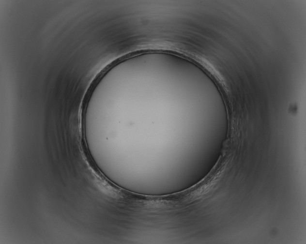 X0000091080988200708271232