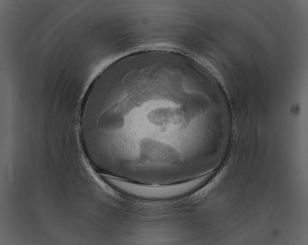 X0000091080989200708271232