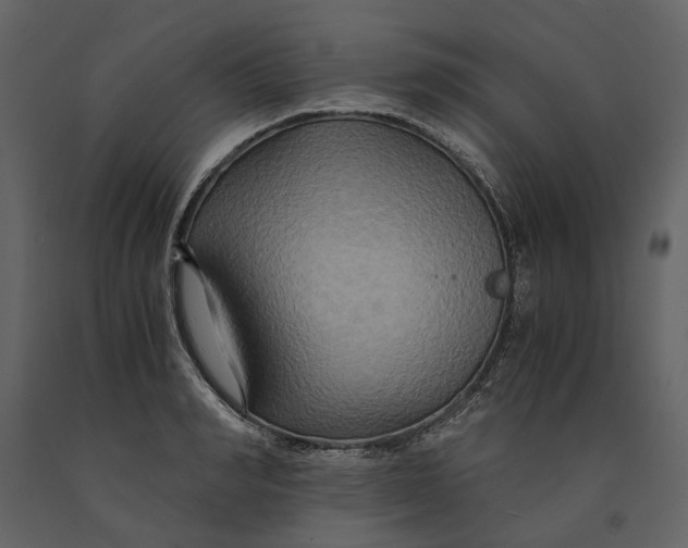 X0000091080990200708271232