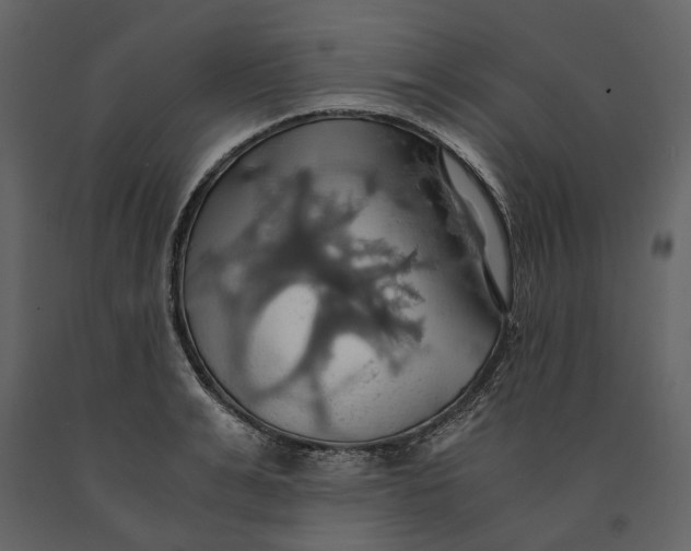 X0000091080991200708271232