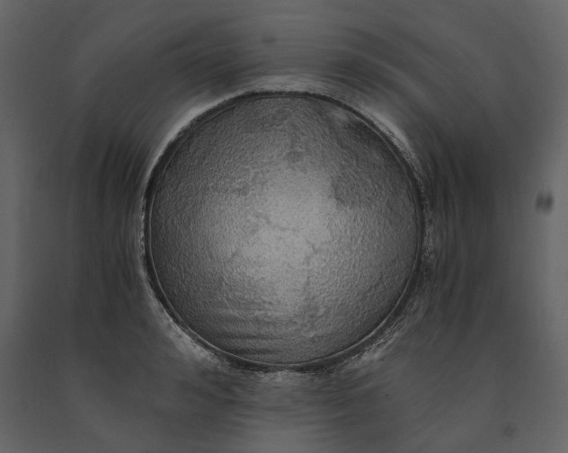 X0000091080992200708271232