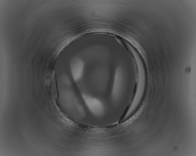 X0000091080993200708271232