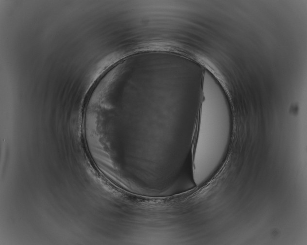 X0000091080994200708271232