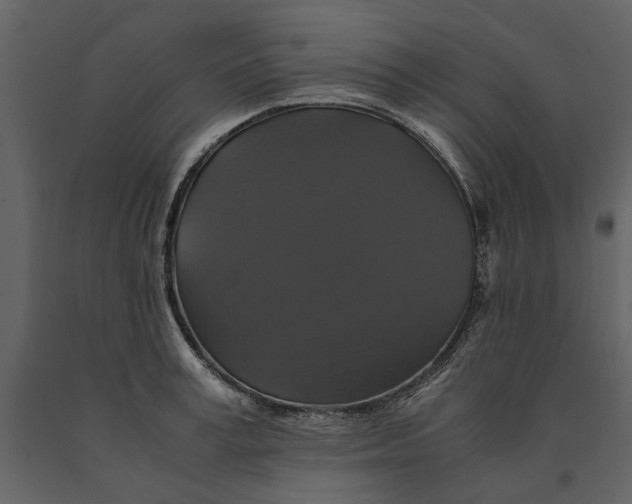 X0000091080995200708271232