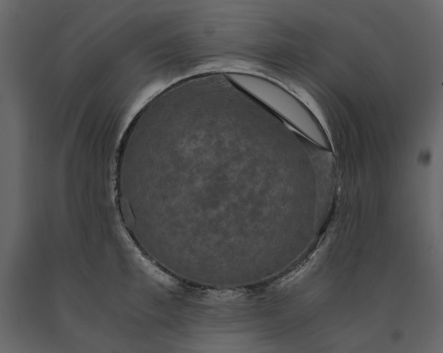 X0000091080997200708271232