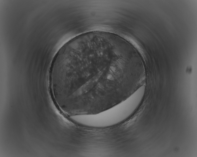 X0000091080999200708271232