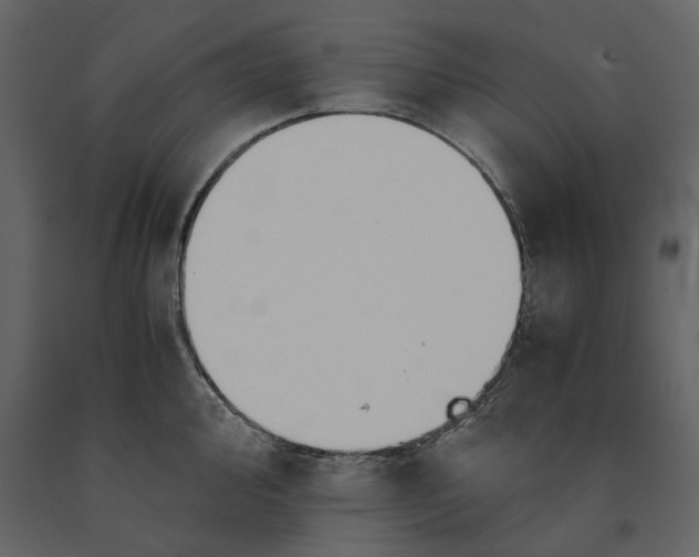 X0000091081000200708271232