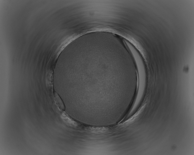 X0000091081001200708271232