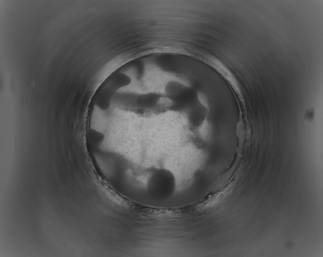 X0000091081002200708271232