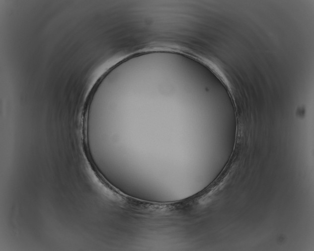 X0000091081003200708271232