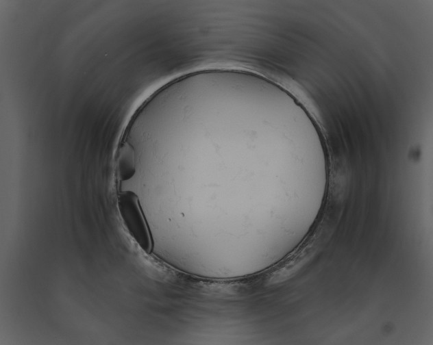 X0000091081004200708271232