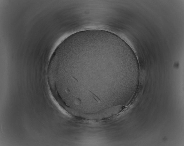 X0000091081005200708271232