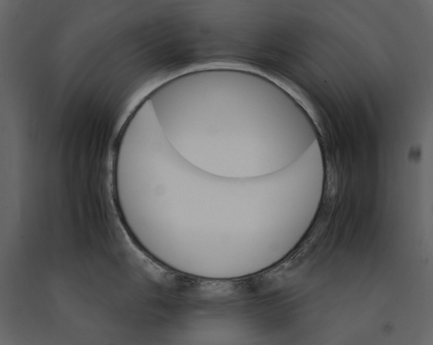 X0000091081006200708271232