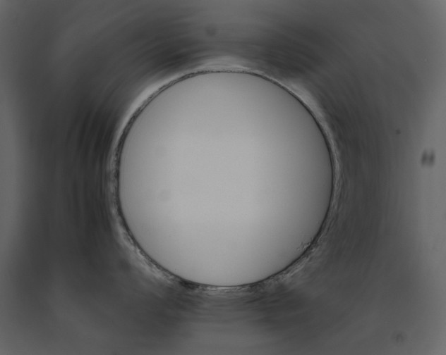 X0000091081008200708271232