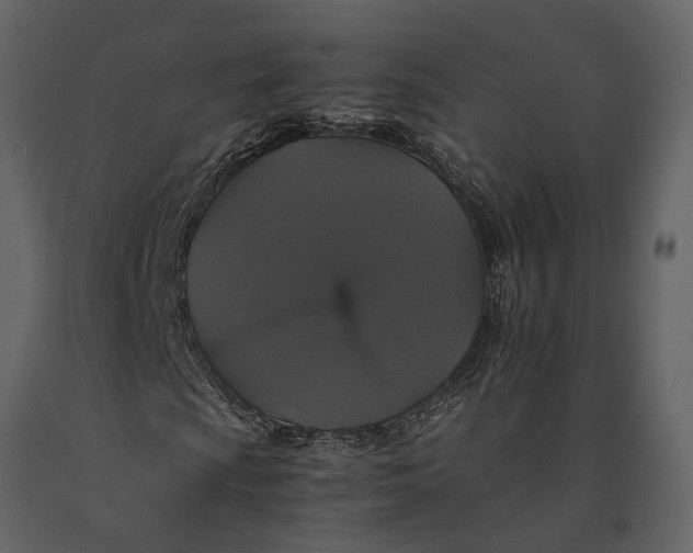 X0000091081009200708271231