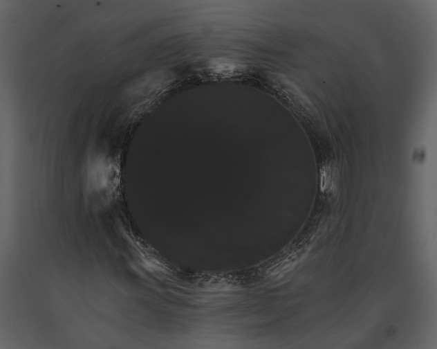 X0000091081011200708271231