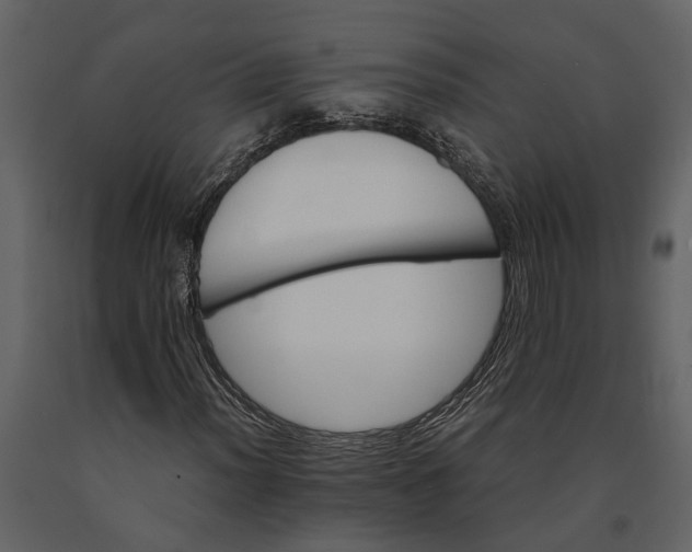 X0000091081012200708271232