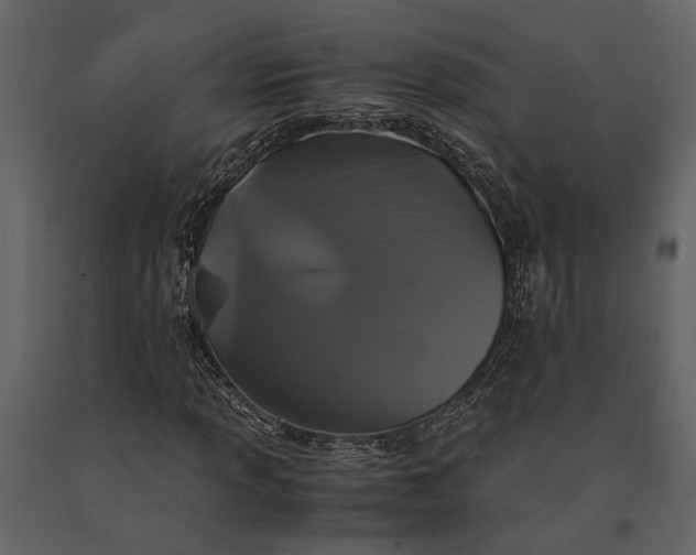 X0000091081013200708271232