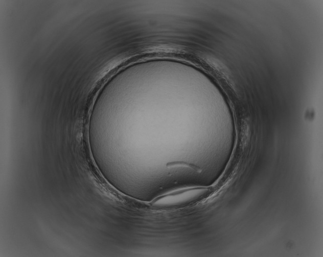 X0000091081017200708271232