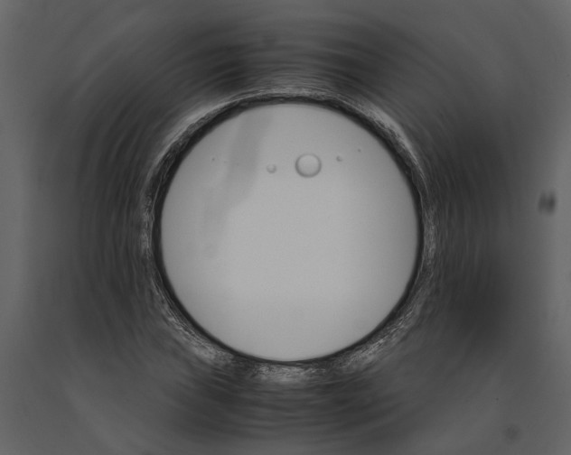 X0000091081019200708271232