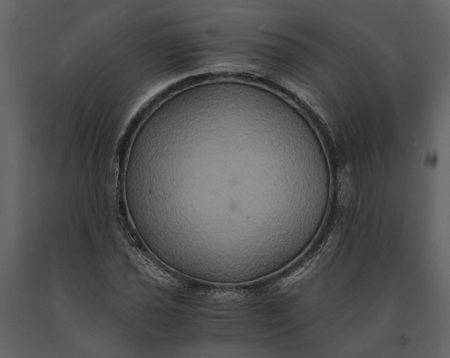 X0000091081021200708271232