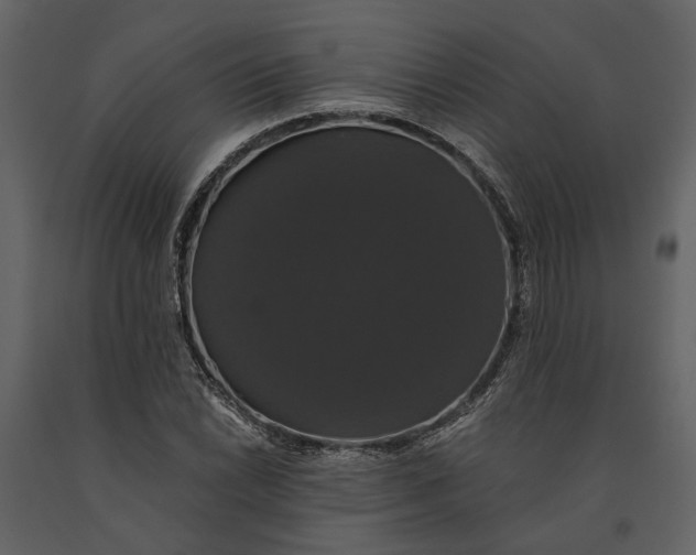 X0000091081022200708271232