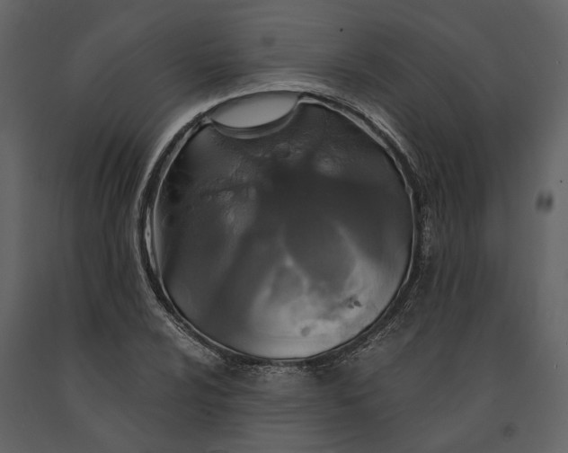 X0000091081024200708271232