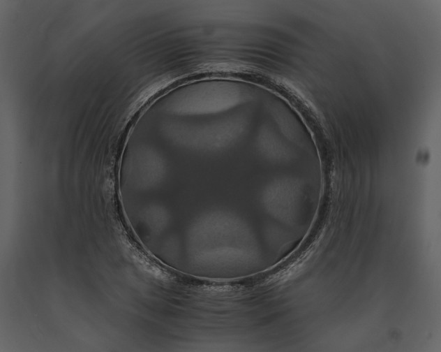 X0000091081025200708271232